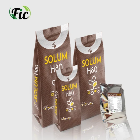 سولوم أتش 80