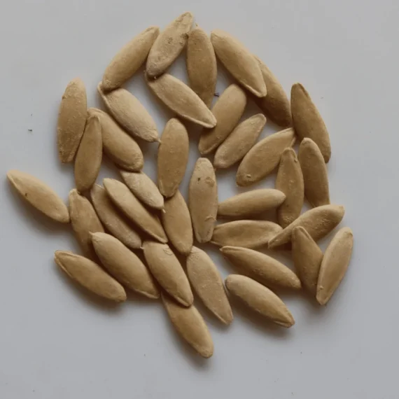 خيار