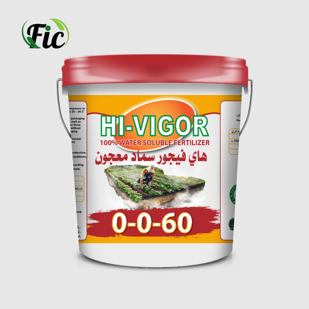 First Investment Company
