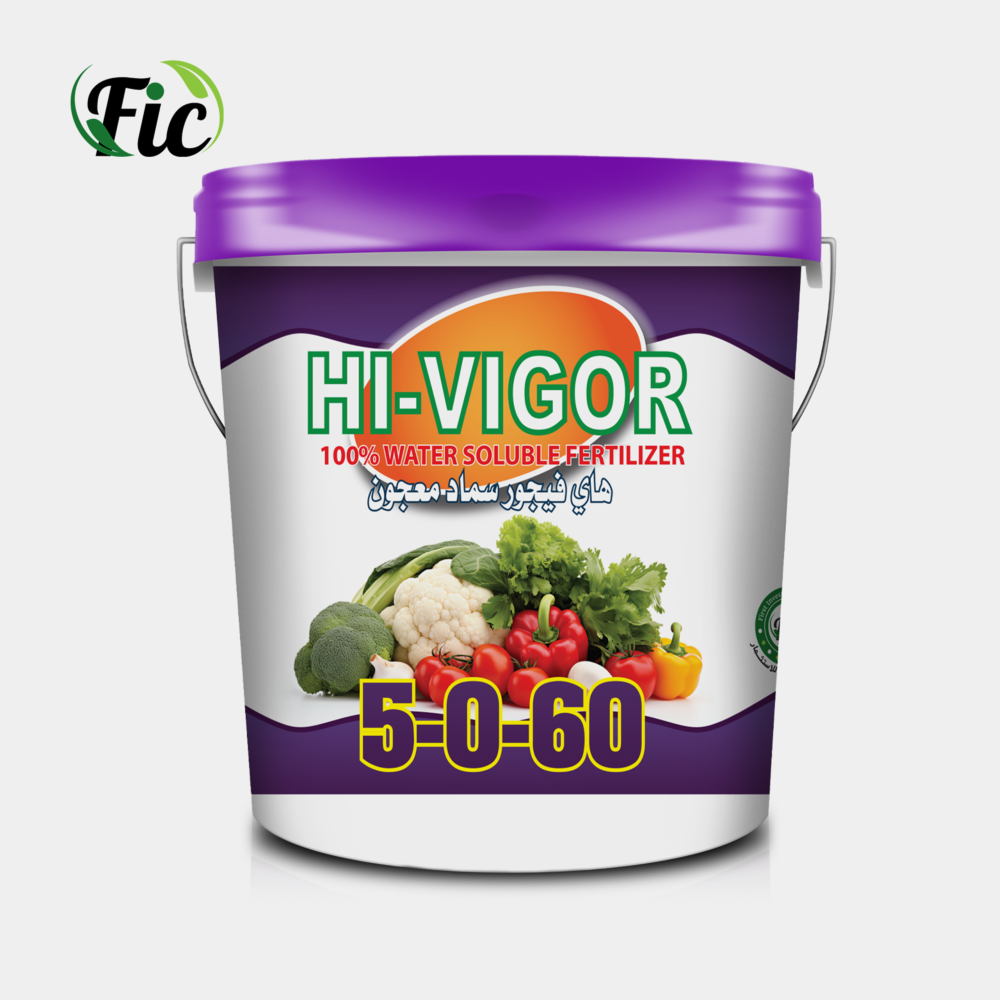 First Investment Company