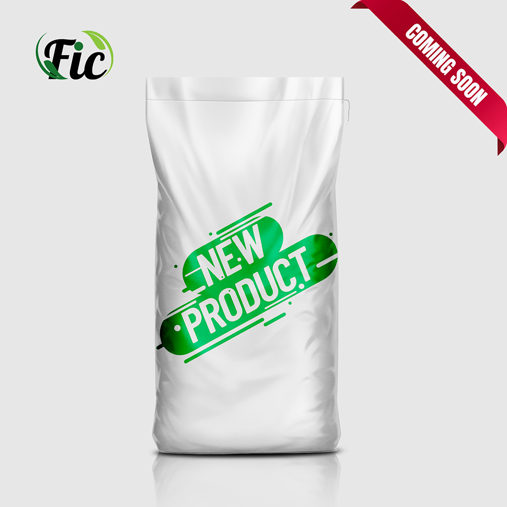 First Investment Company
