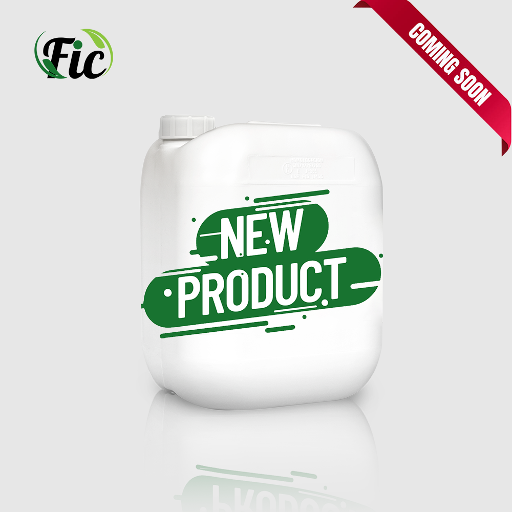 First Investment Company